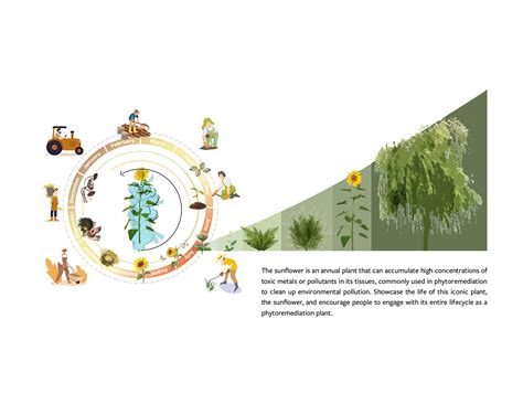   Universally Underestimated: Unveiling the Fascinating Lifecycle and Ecological Role of the Urogonimus Gondii!