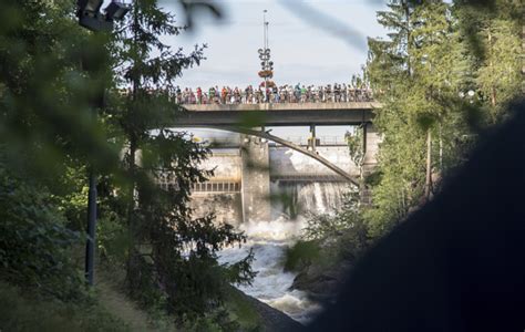  Ralfsia: Tunnetko tämän meren pohjan lohikäärmeen ja sen kiehtovan bioluminesenssin? 